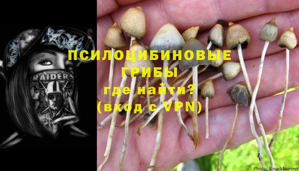 мяу мяу мука Алзамай