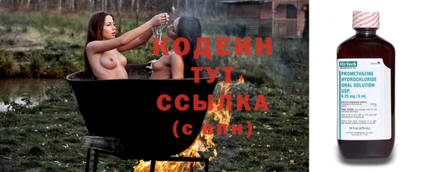 тгк Абаза
