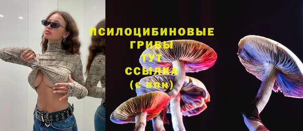 крисы Алексеевка