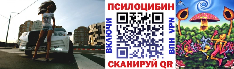 наркошоп  Дзержинск  Псилоцибиновые грибы ЛСД 